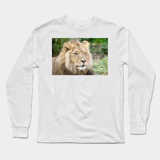 122014 lion Long Sleeve T-Shirt